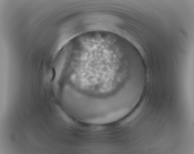 X0000114221529200910231433