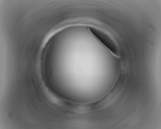 X0000114221530200910231433