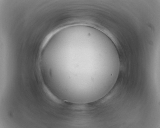 X0000114221532200910231433