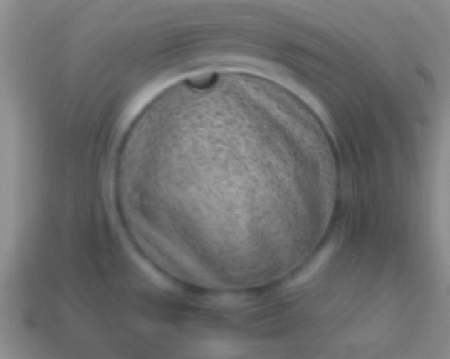 X0000114221533200910231433