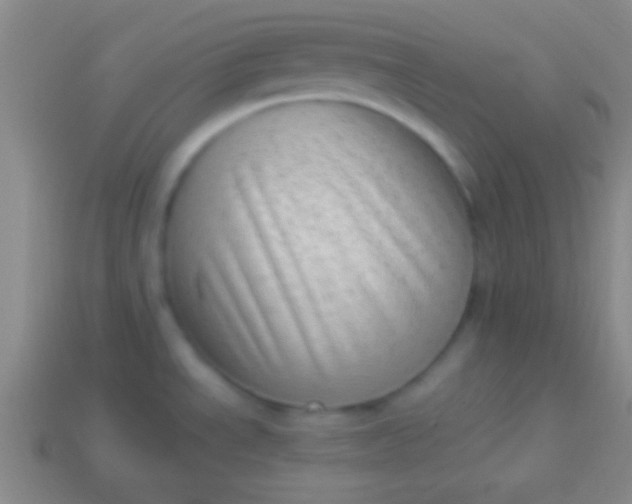 X0000114221534200910231433