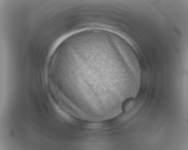 X0000114221535200910231433