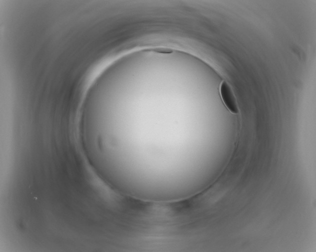 X0000114221536200910231433