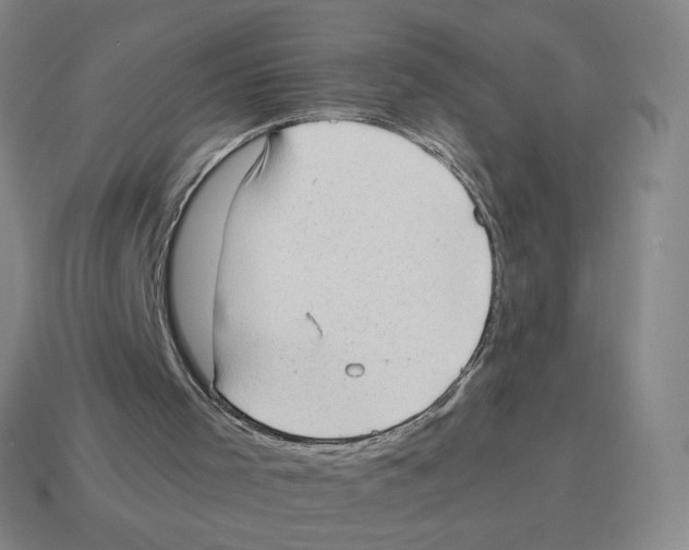 X0000114220001200911061517