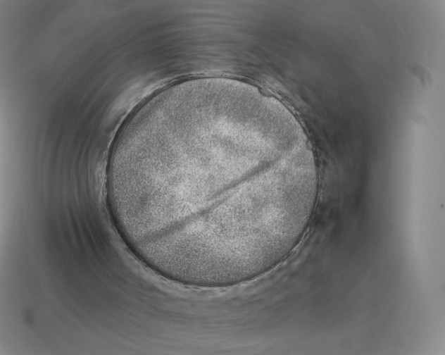 X0000114220002200911061517