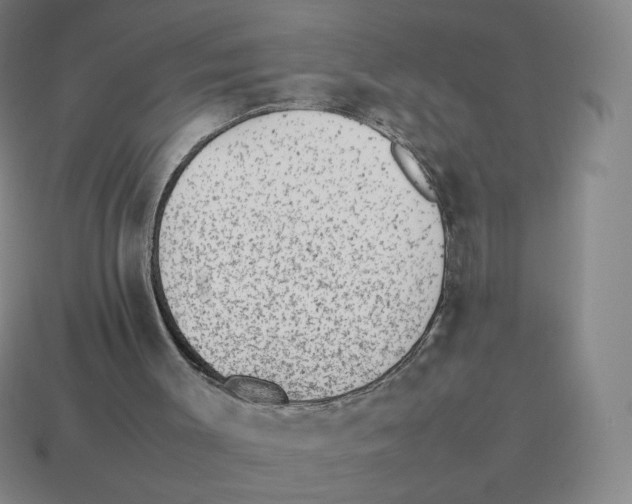 X0000114220003200911061517