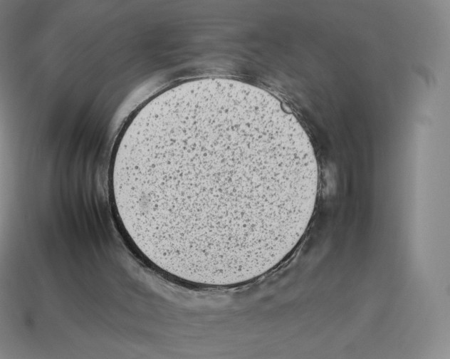 X0000114220004200911061517