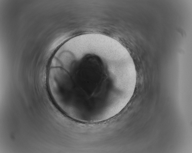 X0000114220005200911061517