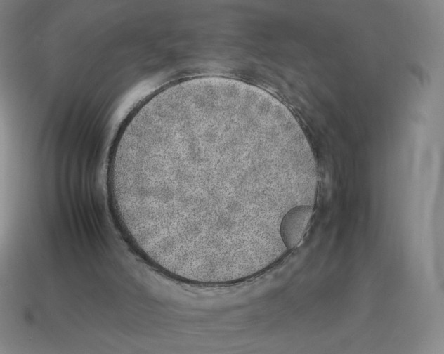 X0000114220006200911061517