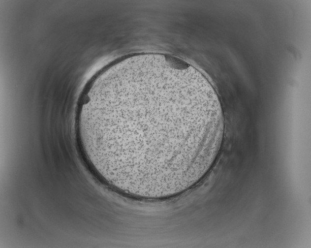 X0000114220008200911061517