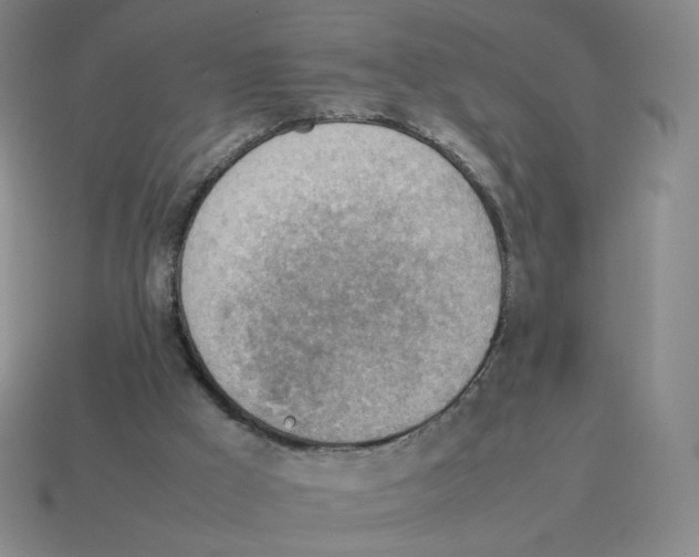 X0000114220009200911061517