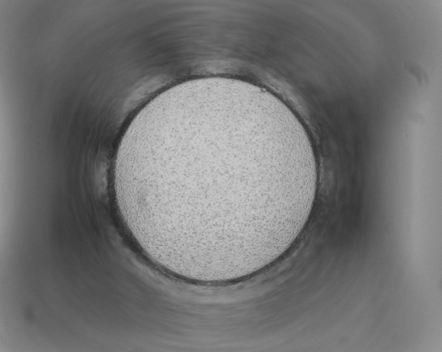 X0000114220010200911061517