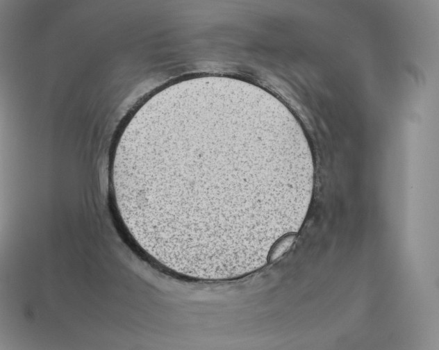 X0000114220011200911061517