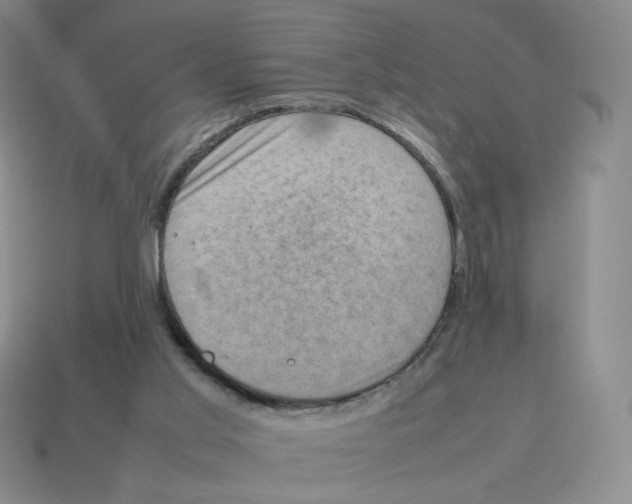 X0000114220013200911061517