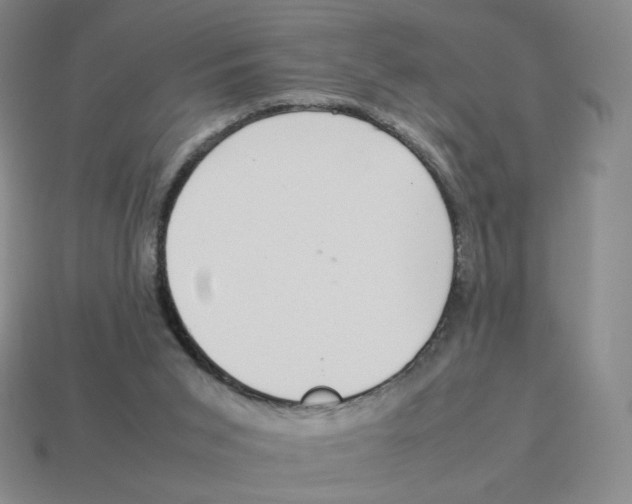 X0000114220015200911061517