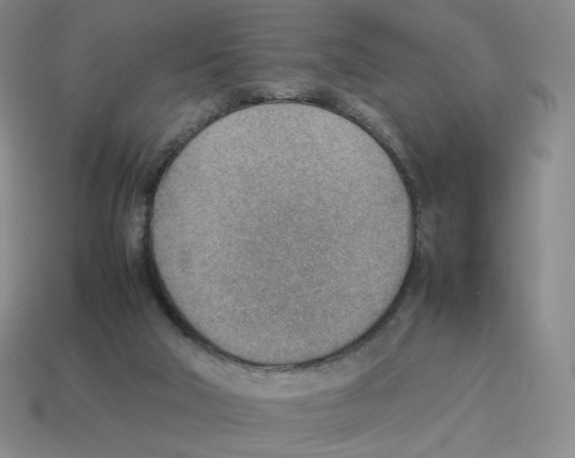 X0000114220018200911061517
