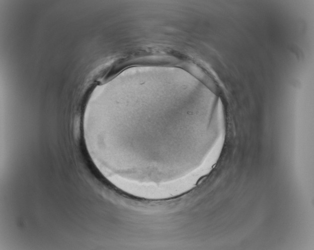 X0000114220019200911061517