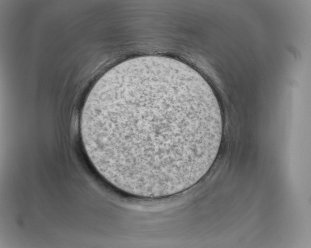 X0000114220021200911061517