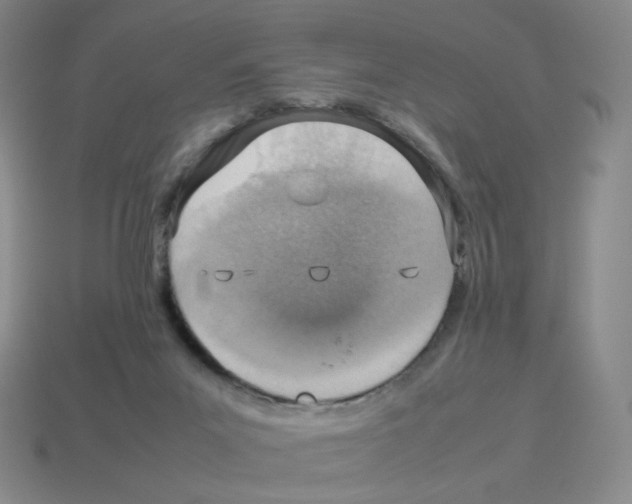 X0000114220023200911061517