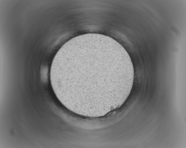 X0000114220024200911061517