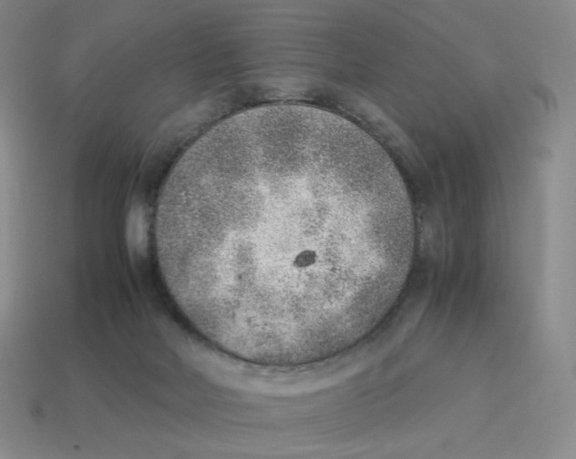 X0000114220026200911061517