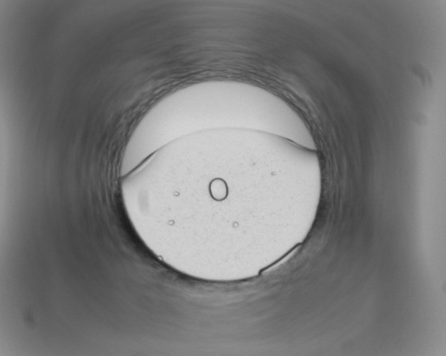 X0000114220029200911061517