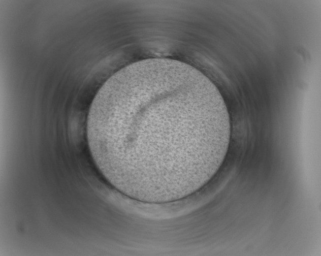 X0000114220030200911061517
