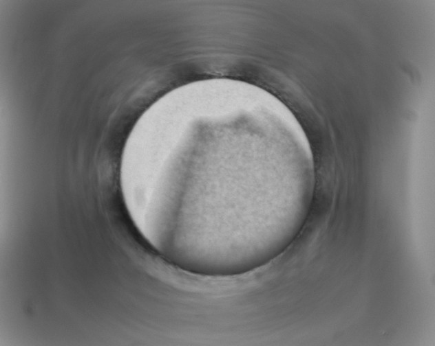 X0000114220031200911061517