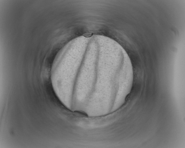 X0000114220033200911061517
