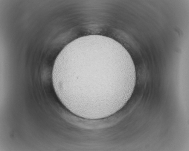 X0000114220034200911061517