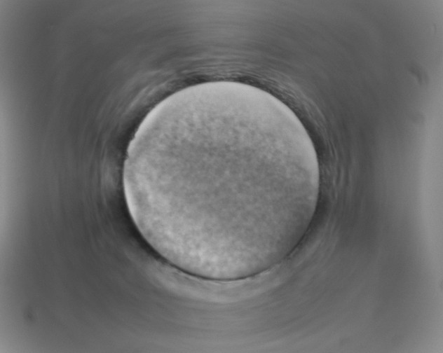 X0000114220035200911061517