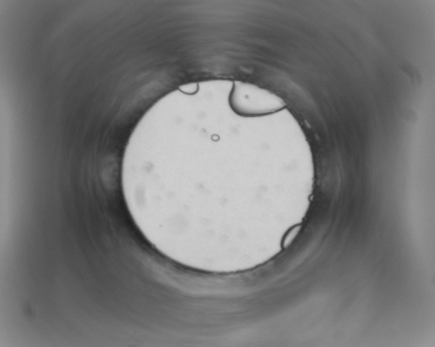 X0000114220036200911061517