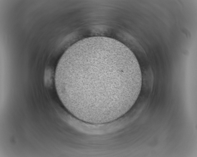 X0000114220038200911061516