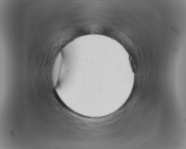 X0000114220039200911061516