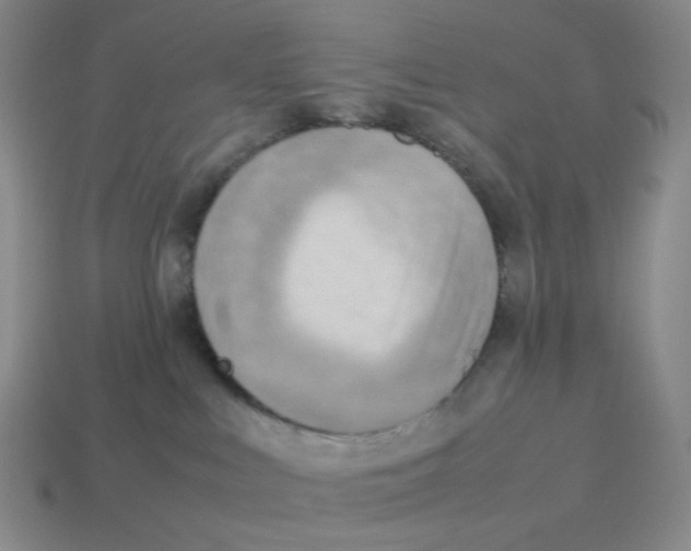 X0000114220043200911061516