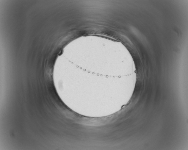 X0000114220045200911061516