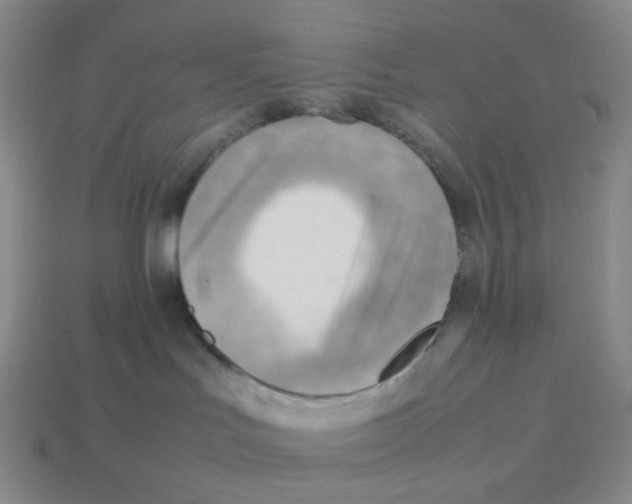 X0000114220047200911061516