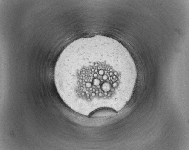 X0000114220048200911061516