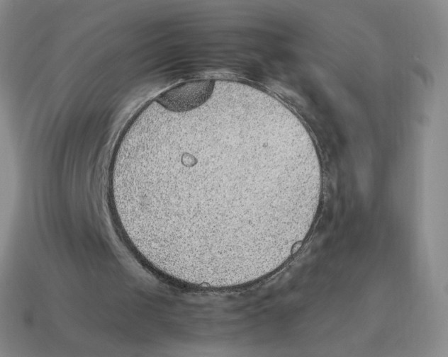X0000114220049200911061516