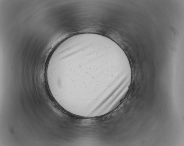 X0000114220050200911061516