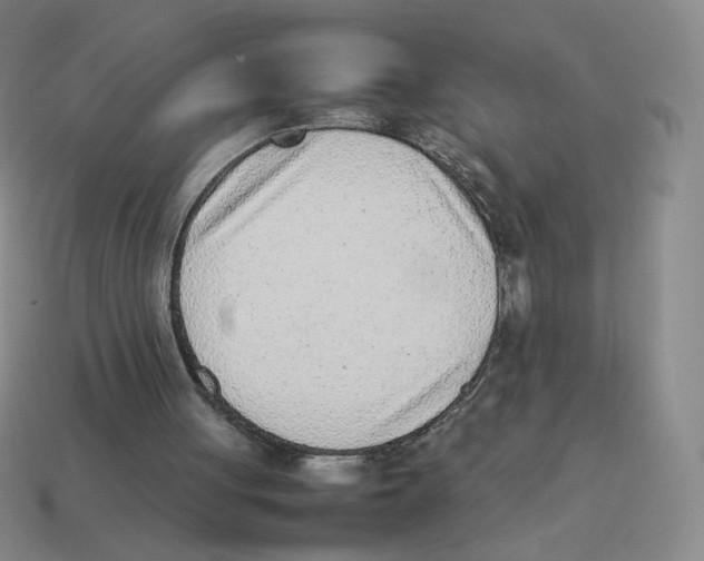 X0000114220051200911061516