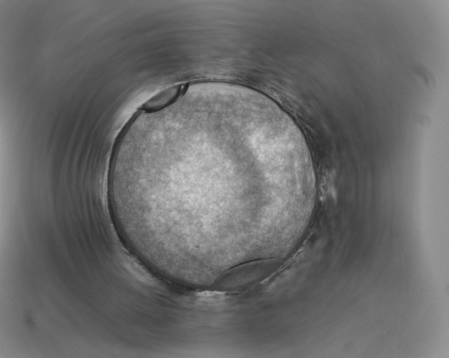 X0000114220052200911061516