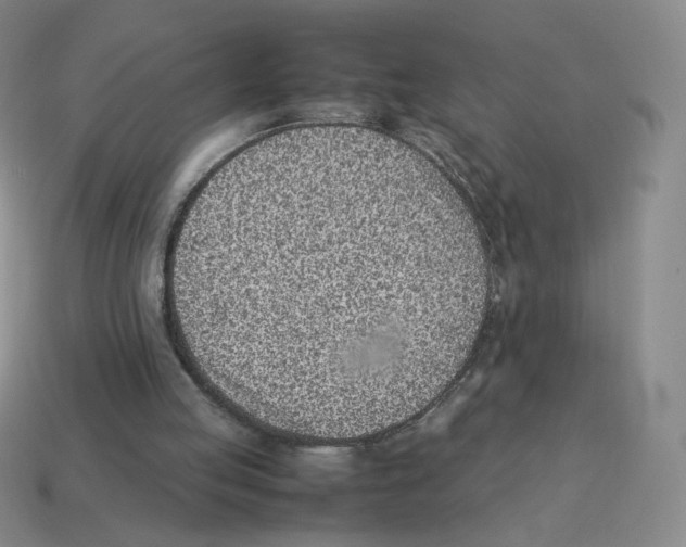 X0000114220053200911061516