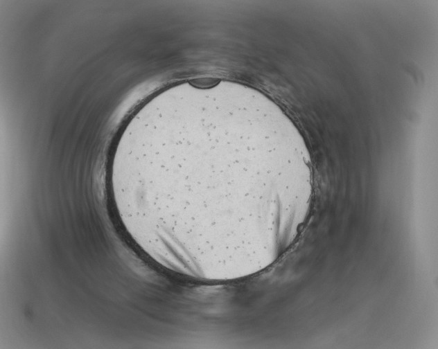 X0000114220054200911061516