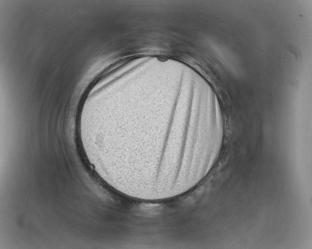 X0000114220055200911061516