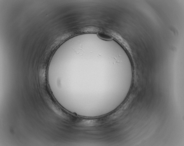 X0000114220057200911061516