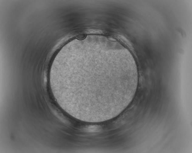 X0000114220059200911061516