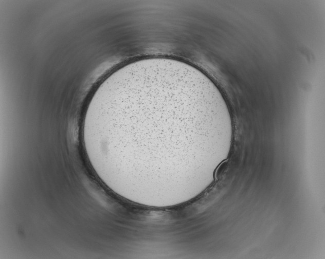 X0000114220060200911061516