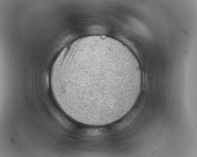 X0000114220061200911061516