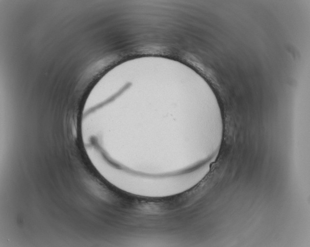 X0000114220062200911061516